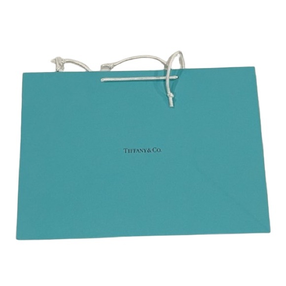 3/$40 NEW Tiffany & co shopping bag large rectangle size! - Picture 1 of 4
